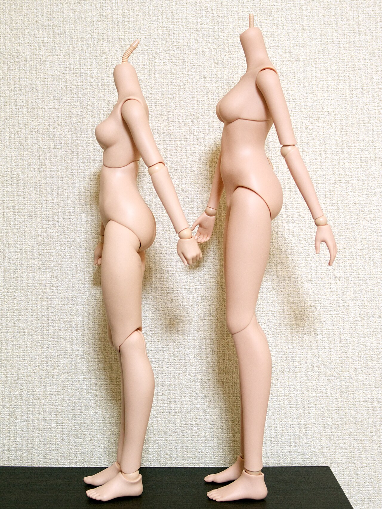 Ringdoll 示意图